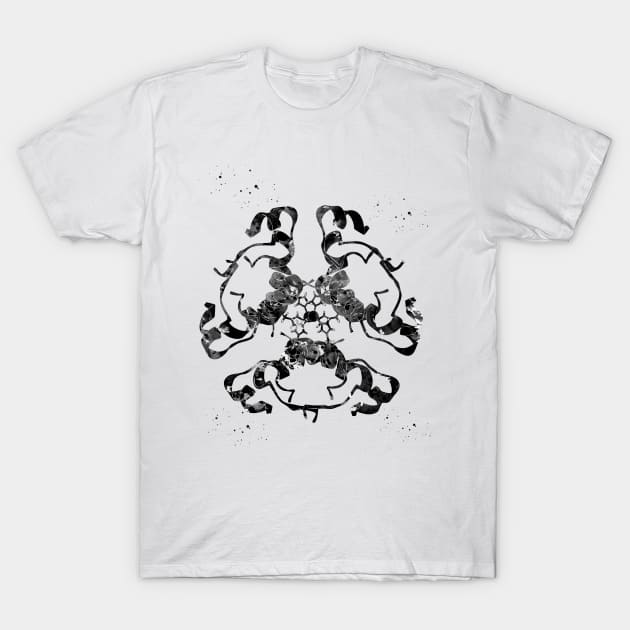 Insulin Structure T-Shirt by erzebeth